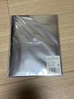 亀と山P 2020 スペシャルリーフレット