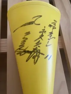 サイン入り野球ボール　村山実、鎌田実 サイン入り野球ボール 村山実、鎌田実 - メルカリ