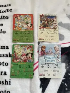 フリーきっぷ　リゾートライン ディズニー