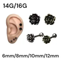 Item thumbnail for item 92536a85-19b7-4d3f-a9f1-3c3558ff680d