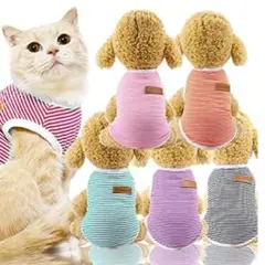 Item thumbnail for item c637c0e4-38bd-4c7d-8c2d-32752f80df67