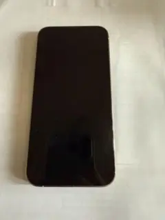 Apple iPhone 13 Pro シルバー 256GB 本体