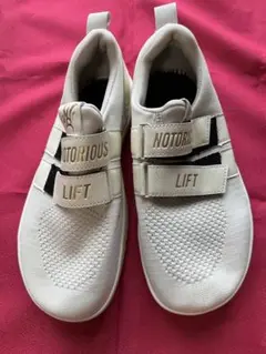 Item thumbnail for item 1f27ee65-1929-4257-86b0-a1a4f0cbcffe