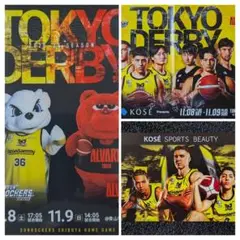 Item thumbnail for item 35864d1b-5f46-435e-b94a-d63e6696dd0c