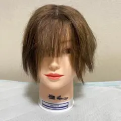 Item thumbnail for item 4550ed6a-2fa5-4d9f-9b07-3c812acc596c