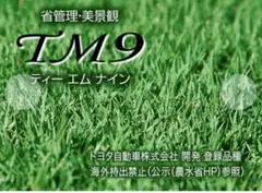 セマル　TM9 10束 10平米 TM9 鳥取産 ティーエムナイン 登録品種 10平米 3坪