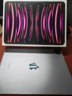 iPad Pro（第4世代）11インチ 256GB Cellularモデル
