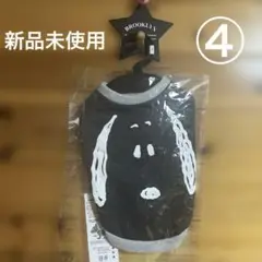 Item thumbnail for item ae581273-b8d2-4398-8da4-f42b904837e7