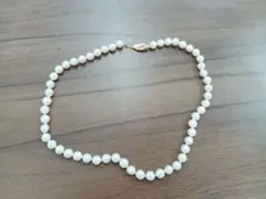 Item thumbnail for item bbd78415-317e-4ff9-8a01-a8bdd03af0b1
