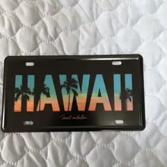 HAWAII ナンバープレート デザイン