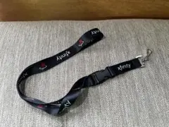 NBA MIAMI HEAT マイアミ ヒート チームストラップ