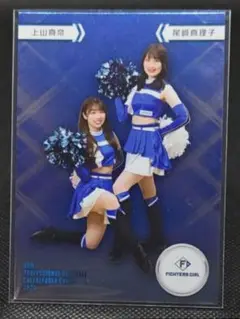 Item thumbnail for item 3b5f7e8a-a0a2-40d6-a1d0-1e3e550cde68