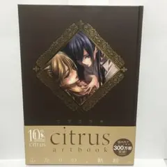 citrus シトラス　art book CITRUS popman3580 アートワークス&スケッチ | popman3580 |本