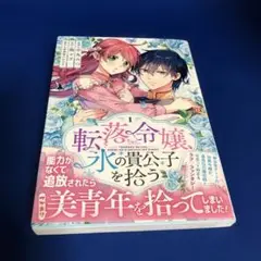 転落令嬢、氷の貴公子を拾う(1)