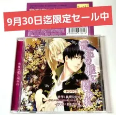 「雪花の檻に囚われ」檜山修之　緑川光　BLCD 原作　真崎ひかる　初回限定版