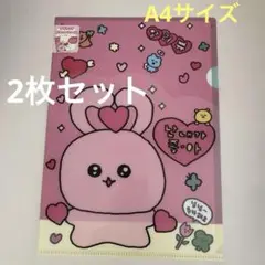 チェゴシム　A4サイズ ファイル 2点セット 新品