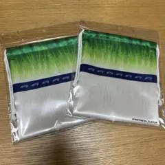 Item thumbnail for item 0b6f13e8-8111-4626-8369-a2864ad7f03d