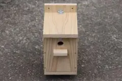 Item thumbnail for item 692f4732-8edc-4935-a1fb-4ac6162861d1