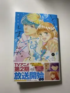 どうせ、恋してしまうんだ。12巻