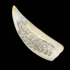 Item thumbnail for item 802072fb-669f-44b5-8a35-bfe781f4fdce