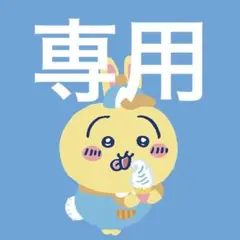 20250819専用