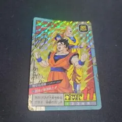 ドラゴンボール スーパーバトル 悟空&悟飯Wプリズム カードダス