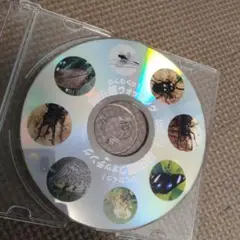 わくわく　昆虫館　ウォッチング　DVD 昆虫