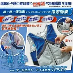 Item thumbnail for item 4e3e3cf5-a932-45a8-9551-5fb653fe81fa