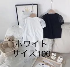 【新品/送料無料】キッズ 半袖Tシャツ サイズ100