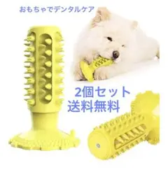 Item thumbnail for item 5402a2e6-49fe-4fb0-9ef6-60e1fa400c23