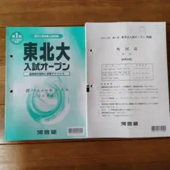 未使用 東北大入試オープン 2019年度第1回 国数英 解答解説付 2025年最新】東北大入試オープンの人気アイテム - メルカリ
