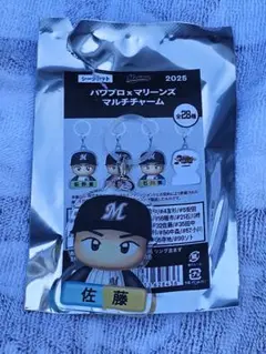 千葉ロッテマリーンズ パワプロマリーンズ マルチチャーム