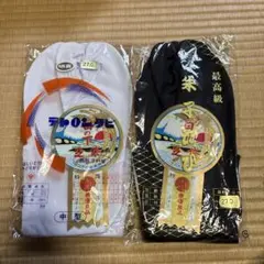 Item thumbnail for item 3b35cfba-db8d-4518-b1b1-8c91ea79a3fc