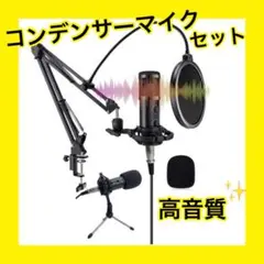 コンデンサーマイク 抜群の集音性 エコー機能 プロフェッショナル 高音質