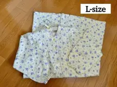 Item thumbnail for item 6560f824-03b5-4725-b1a6-0ae49d91610e