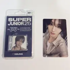 Super Junior25 SMini Ver. イェソン 開封済