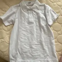 Item thumbnail for item d8a3a534-2046-443c-83f0-ca22973c1ebe