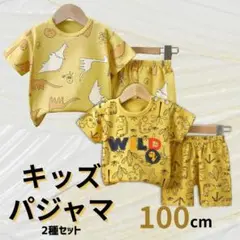 884　キッズパジャマ上下セット 100㎝　２セット　恐竜　男の子　保育園
