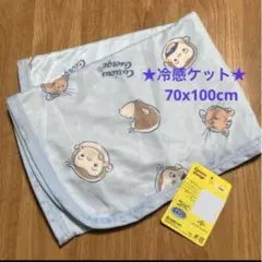 ★おさるのジョージ　冷感ケット☆ 冷感タオルケット　ブルー