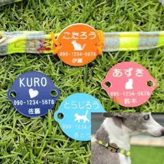 Item thumbnail for item 31d7ddfa-9205-435c-bc1b-e8f9ee324856