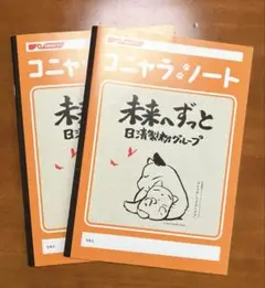 生産終了　タグ付き　どんぐり共和国　ジブリコニャラＭサイズ大きいメルカリのみ出品 となりのトトロ 50cm ジブリ どんぐり共和国ちぃぼうし メッシュ