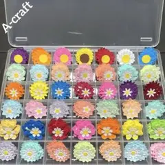 クラフトパンチ ケース付き ペーパークラフト 工作 制作 アルバム 保育 625