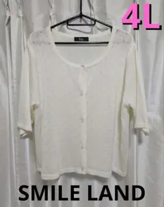 Item thumbnail for item 5cf659f1-fdb6-4948-b7f4-595f75e9dfff