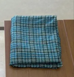 Item thumbnail for item 3f297b32-9d36-48b0-b5c2-1f121df6a5f5