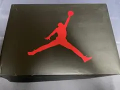 Air Jordan 3 Retro ホワイト/トゥルーブルー 9.5 外箱