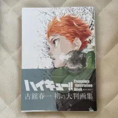 ハイキュー　大判画集