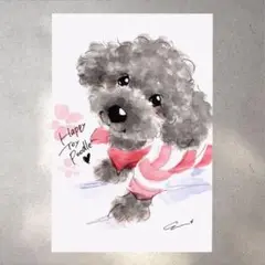 イラスト 原画 ポストカード 絵 【トイプードル】182