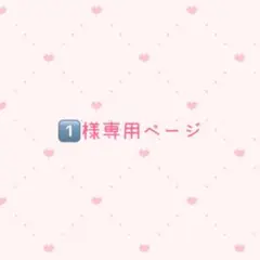 専用ページ