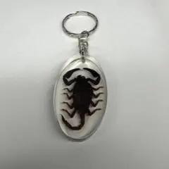 キーホルダー