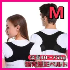 Item thumbnail for item 3c3236ea-ab44-472e-81be-fef200862ea2